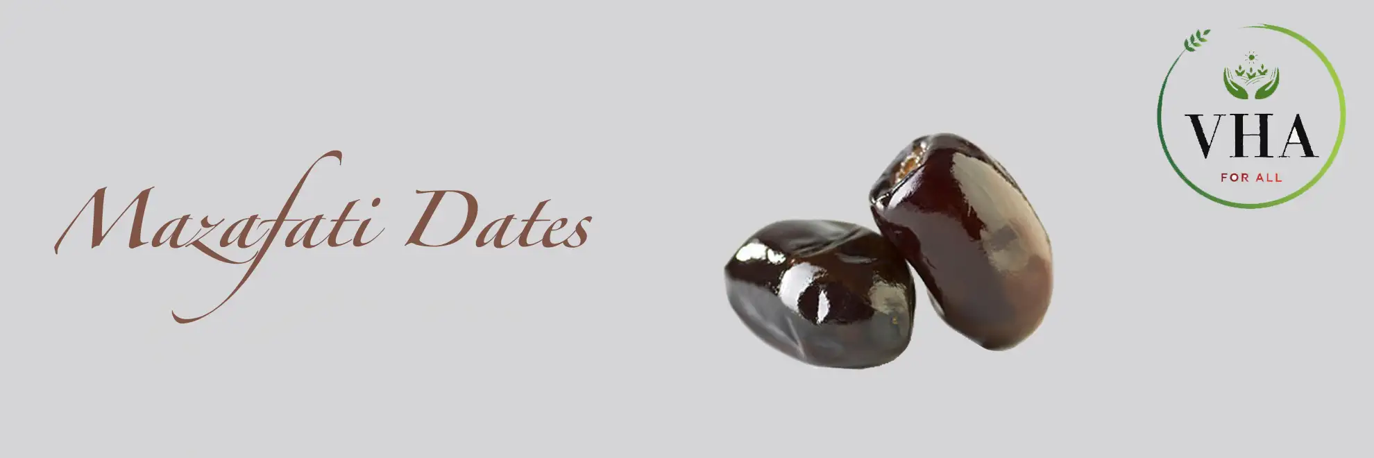 mazafati-dates-vhafoods