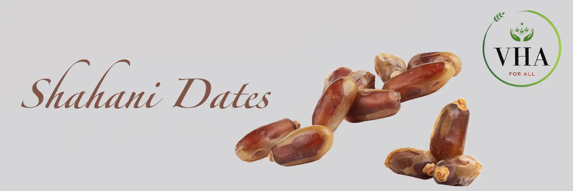 Iranian-Shahani-dates-vhafoods